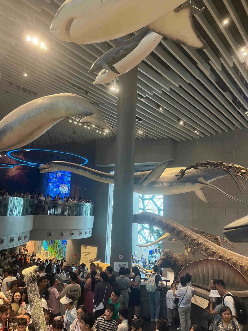 Shanghai Natural History Museum