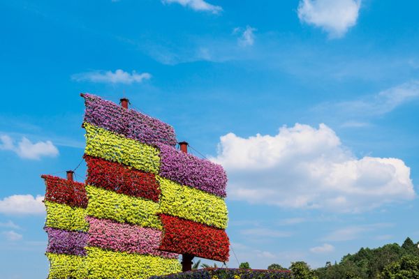 Golden Temple & Expo Garden Classic Day Tour