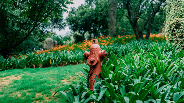 Kunming: Escape the Summer Heat at Colorful Yunnan, Explore Joy World & Ancient Dian Culture