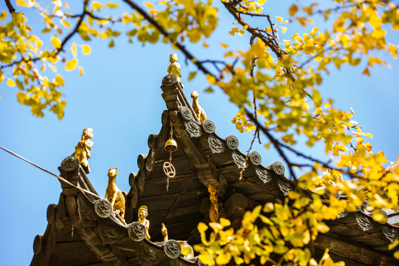 Golden Temple Scenic Area
