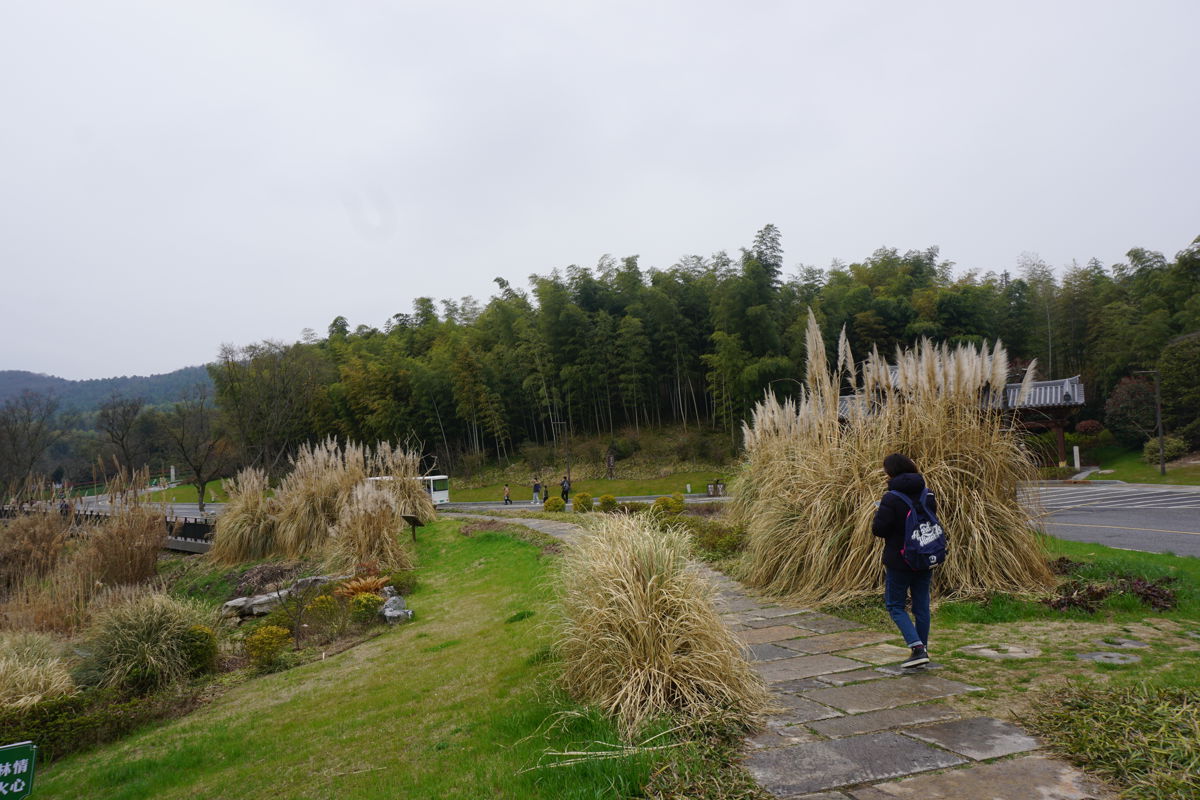 Niushou Mountain: Finding Zen in the "Quiet" and "Simple" at Niutou Temple Complex