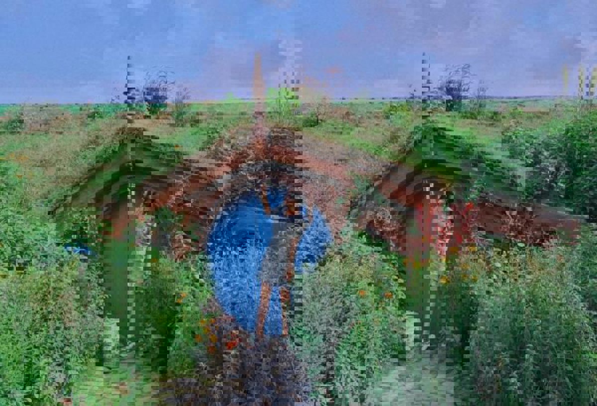 Shanghai Songcheng Night Tour: Water Parties, Shows & Summer Festivals (1 Day)