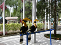 Beijing Wildlife Park