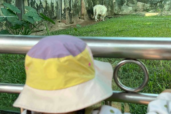 Guangzhou Zoo & Huanghuagang Martyrs' Memorial Day Tour