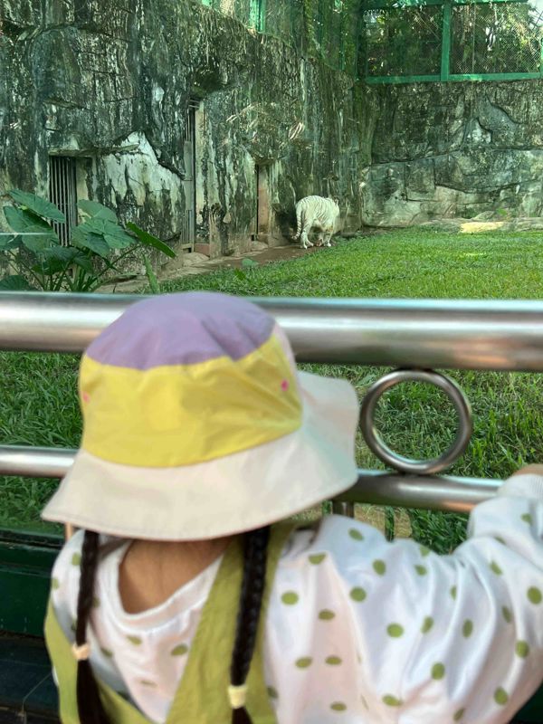 Guangzhou Zoo & Huanghuagang Martyrs' Memorial Day Tour