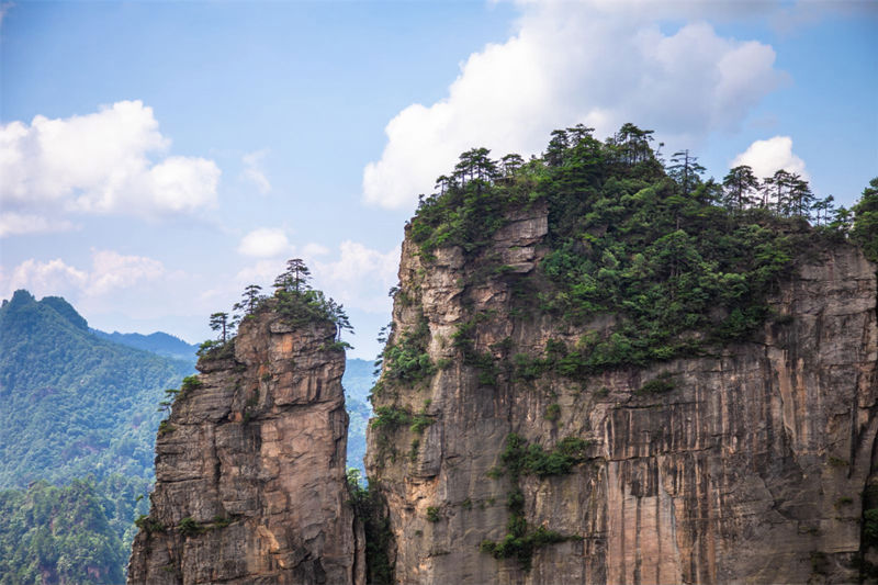 Yangjiajie Scenic Area