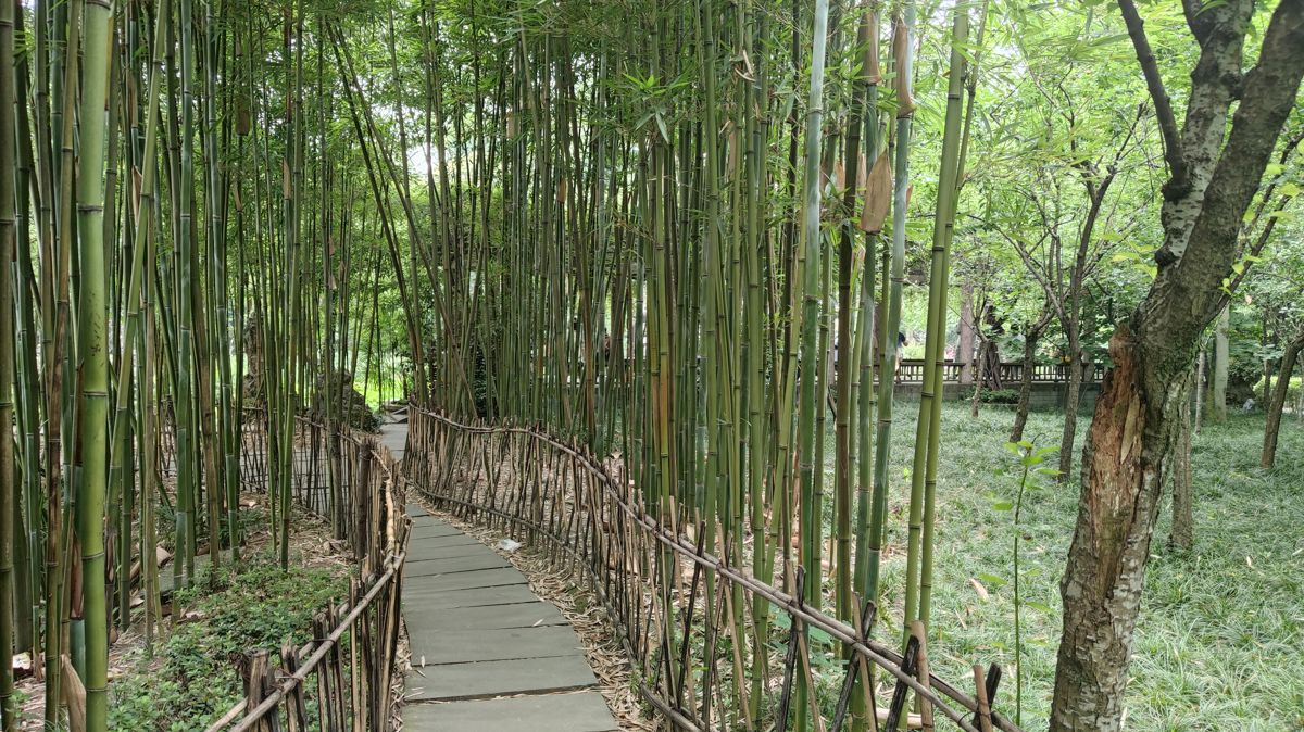 Escape to Nature: Chengdu & Chongqing