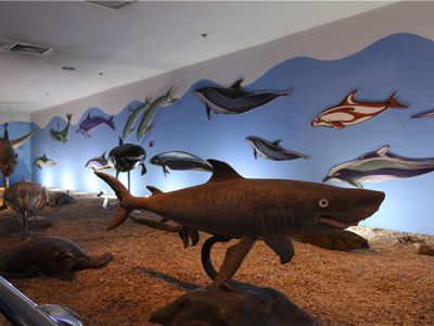 Qujiang Ocean Polar Park