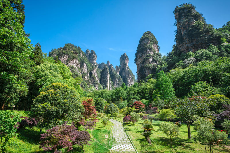 Laomowan Oxygen Bar Square