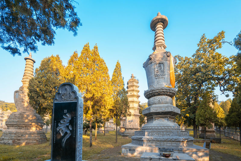 Shaolin Temple Pagoda Forest (Shaolin Scenic Area - Pagoda Forest)