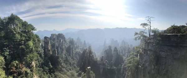 Zhangjiajie: My 5-Day Adventure Through China's Avatar Mountains