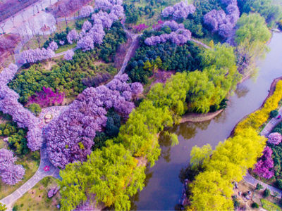 Sui-Tang Dynasty Ruins Botanical Garden