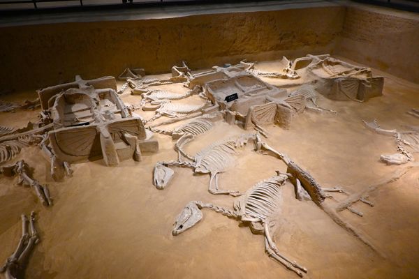 Imperial Chariots & Old Town Delights Day Tour