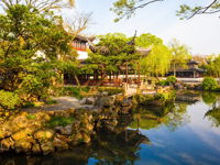 Humble Administrator's Garden