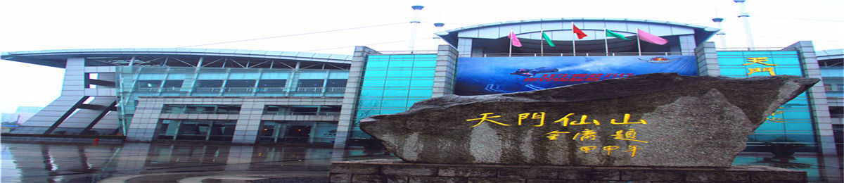 A 10,200 KM Self-Drive Adventure Through Southern China: Lost in the Mist at Tianmen Mountain, Zhangjiajie