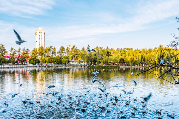 Yunnan University & Cuihu Cultural Core Walk