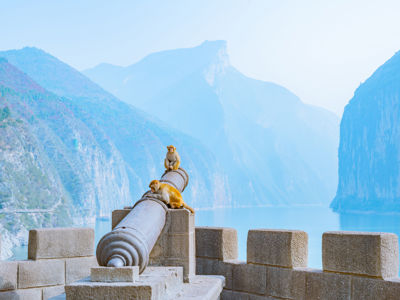 Summit of the Three Gorges Scenic Area