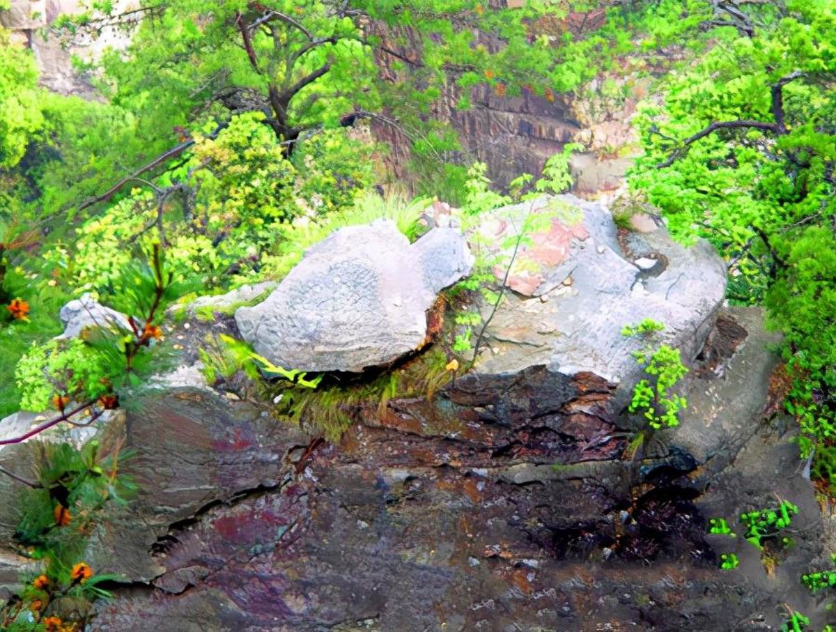 Yuanjiajie: My Adventure in Zhangjiajie's Hidden Avatar Mountains (3 Days)