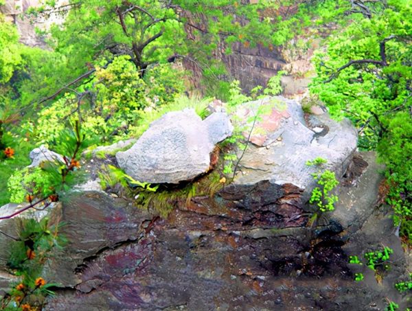 Yuanjiajie: My Adventure in Zhangjiajie's Hidden Avatar Mountains (3 Days)