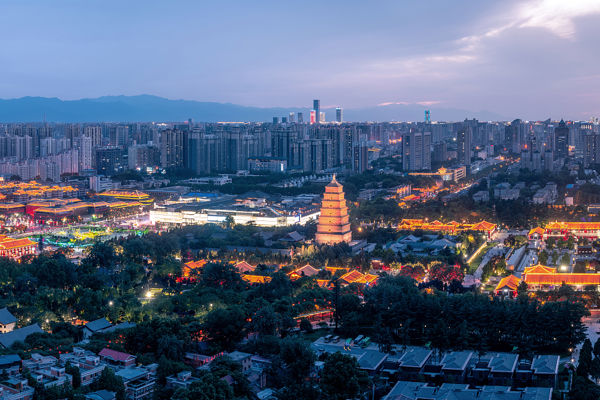 Daci'en Temple & Giant Wild Goose Pagoda Zen Day