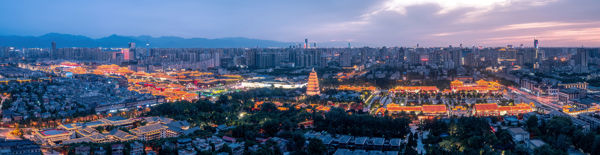 Daci'en Temple & Giant Wild Goose Pagoda Zen Day
