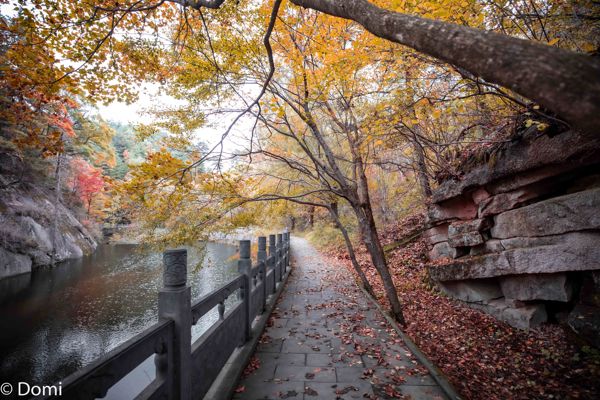 Baiyun Mountain: My Autumn Photography Journey to Luoyang's Hidden Gem (3 Days)