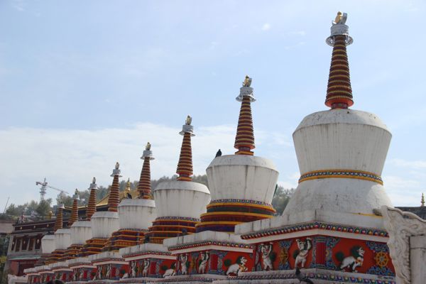 Xining Classic Landmarks & Local Streets Day Tour