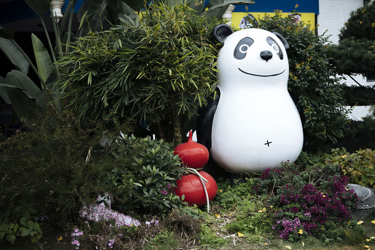 Chengdu: Kuanzhai Alley & Hidden Streets Photo Guide (1 Day)