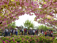 China National Peony Garden
