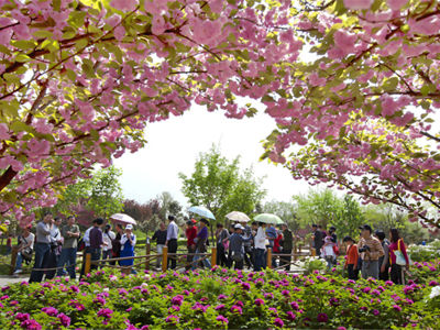 China National Peony Garden