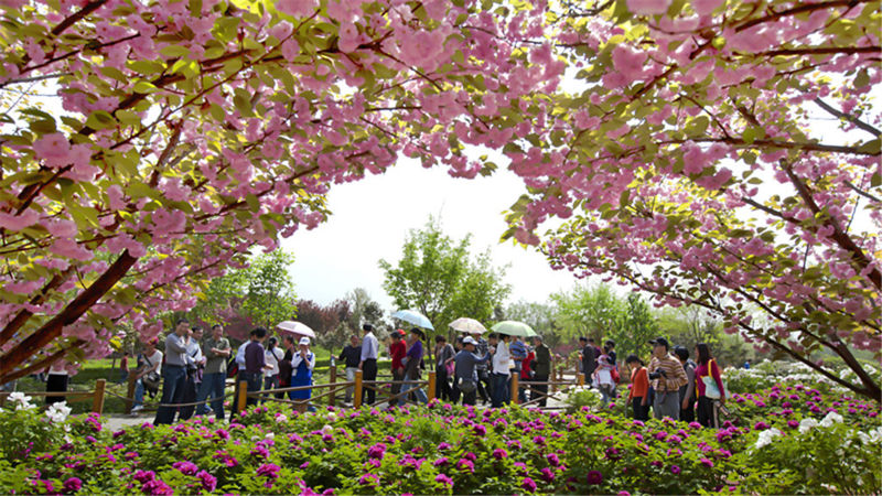 China National Peony Garden
