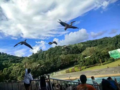 Shenzhen Safari Park