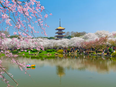 East Lake Ecological Tourism Scenic Area