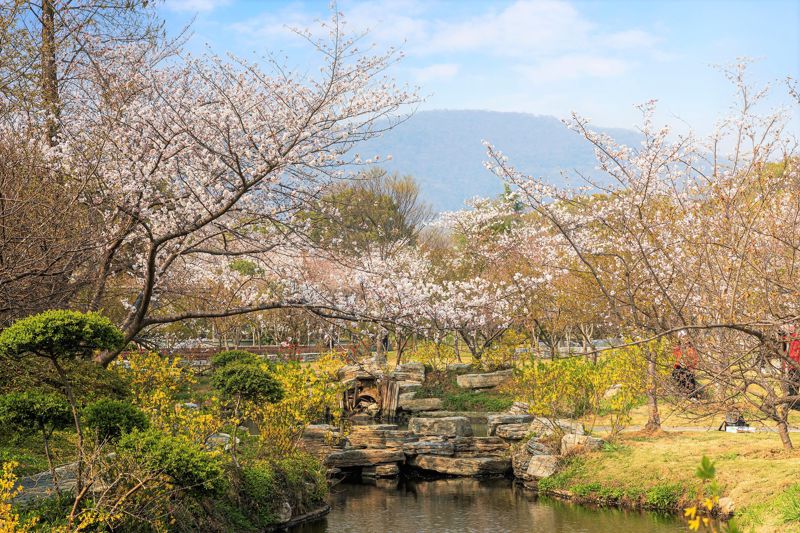 Sun Yat-sen Mausoleum Scenic Area