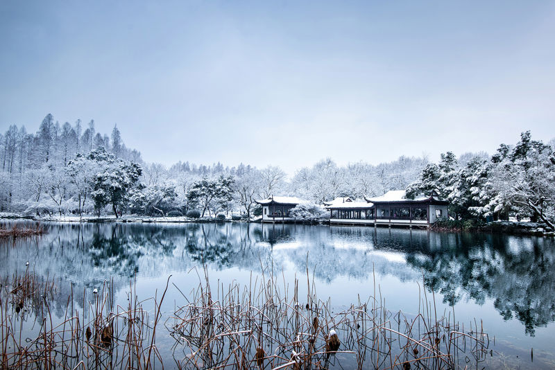 Quyuan Fenghe (Breeze-Ruffled Lotus at Quyuan)