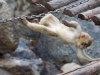 Xining Wildlife Park