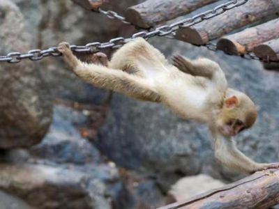 Xining Wildlife Park