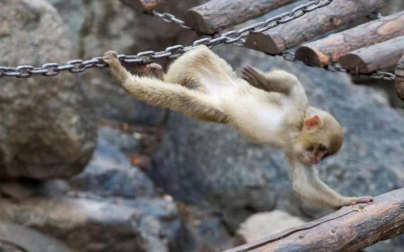 Xining Wildlife Park