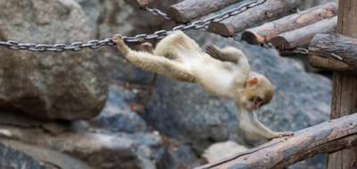 Xining Wildlife Park