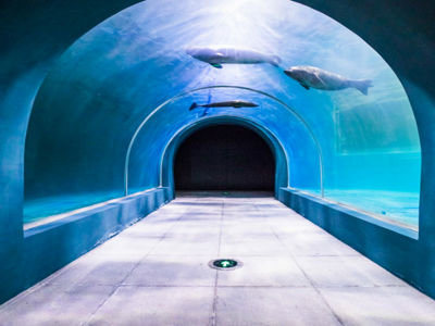 Qingdao Underwater World