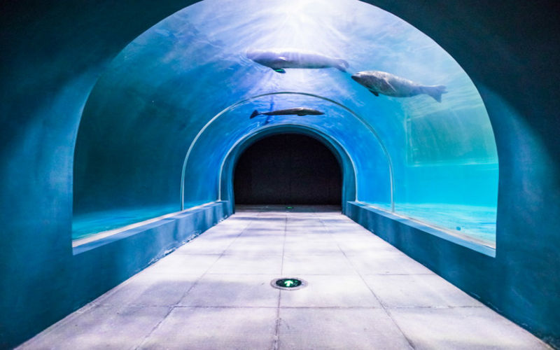 Qingdao Underwater World