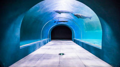 Qingdao Underwater World
