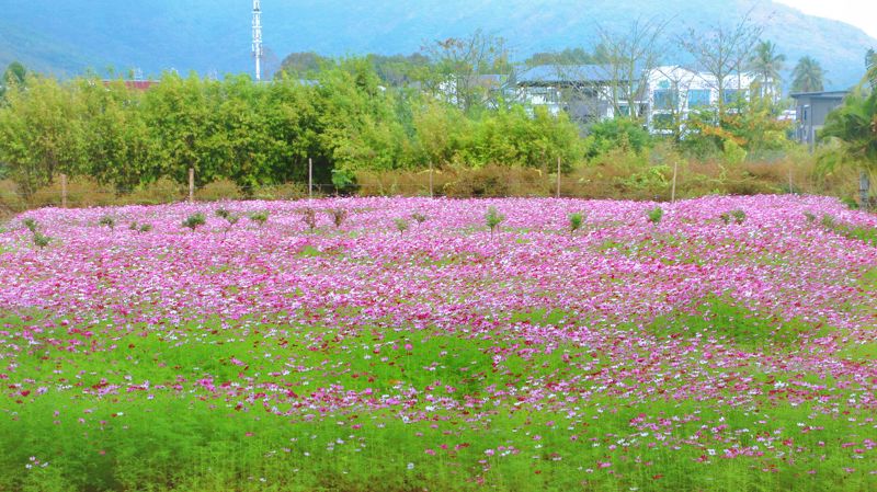 Sanya Yalong Bay International Rose Valley