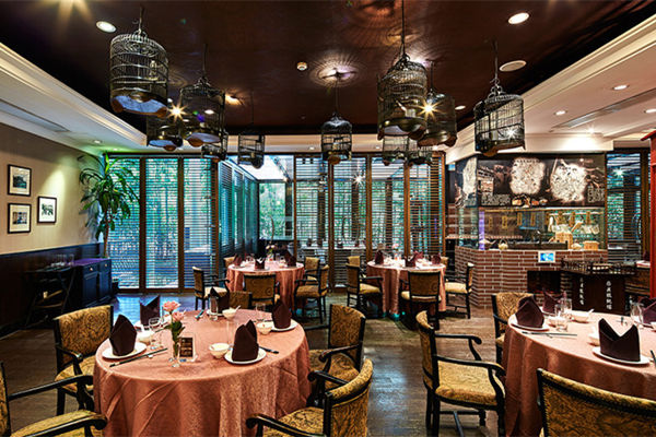 Oriental Pearl & Urban Oasis Adventure