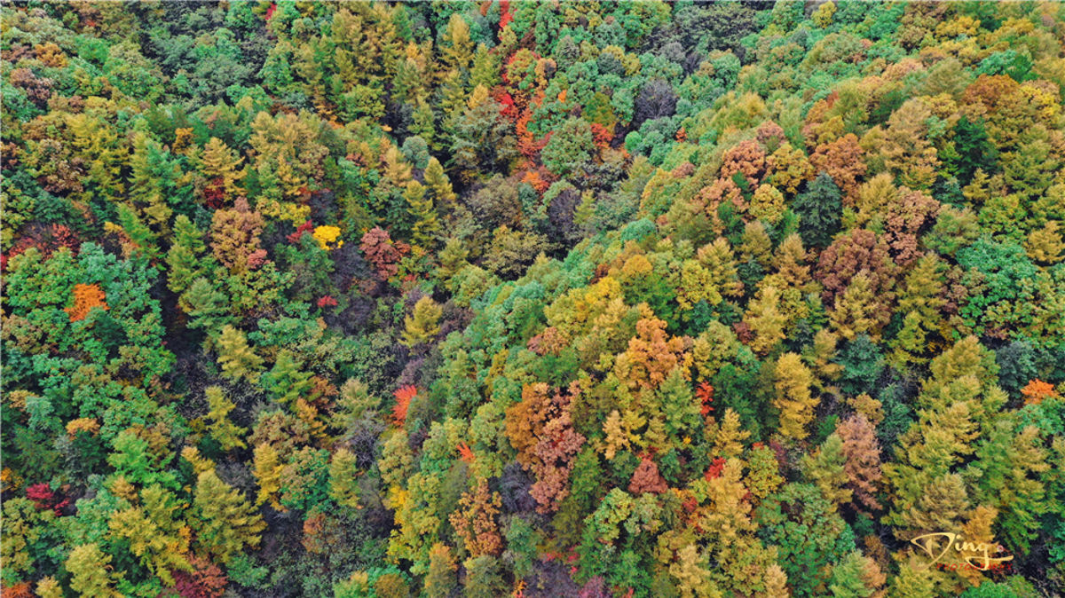 Baiyun Mountain: Central China's Most Stunning Autumn Colors