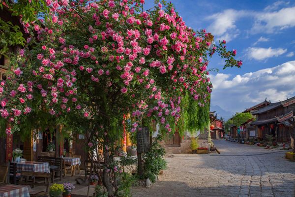 Lijiang Ancient Town & Lion Hill Panorama Day Tour