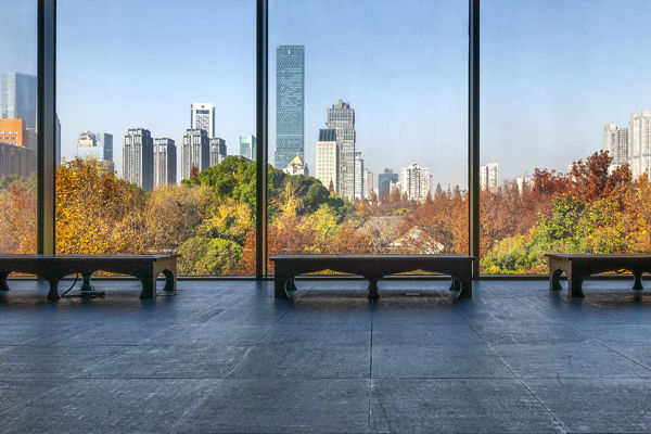 Nanjing Museum & Six Dynasties Art Day Tour