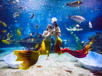 Hahean Tianjin Polar Ocean Park