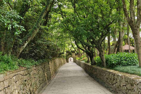 Mount Putuo Zen Retreat: Bamboo Grove & Tide-Sound Cave