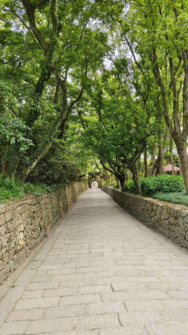 Mount Putuo Zen Retreat: Bamboo Grove & Tide-Sound Cave